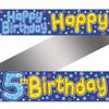 BANNER: 5 TODAY SKATEBORDER BLUE