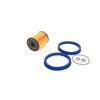 Bosch Automotive F3020 - Benzinfilter Auto