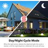 BN-LINK Timer Outlet Short Period Repeat Cycle Intermittent Digital Timer 24H 