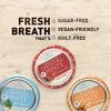 Elementa Natural Sugar Free Hard Candy Breath Mints, Low Carb with Xylitol for Improved Oral Care | Non-GMO + Vegan Friendly, Neutralizes Oral Acid, Soothes Dry Mouth | Peppermint 60 Count