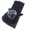Optical Cut Crystal Apple