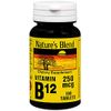 Nature's Blend NAT B Vitamin B12 TB, 100 Count