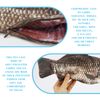 FERCAISH Novelty Fish Pencil Case, Fish Shaped, Padded Thick Foam, Gray, Funny