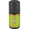 WEIHRAUCH INDISCH, 5 ml ätherisches Öl