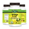 Senna Leaf, Help Increase Muscles in Intestines, Help Promote Bowel Movements