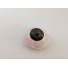 FOREST GREEN SHADE Prosthetic Eye Human Ocular Prosthesis  MADE IN USA
