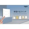 wireless dry contact controller + s3 2-gang switch