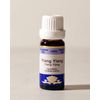 Francilla & Flanz Essential Oil Ylang-Ylang