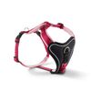 Geschirr Professional Comfort Gr.-1
