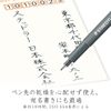 Staedtler 308 °C2/Pigment Liner Black Chisel Tip 0.3–2.00 mm