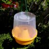 Russell IPM Wasp trap wasp catcher