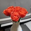 3D Printed White Vase with 8 Red Roses