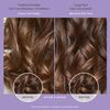 Living Proof - COLOR CARE CONDITIONER (8 oz)