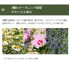 Unlabel Moist Botanical, Multi-Souffle Cream, Certified Organic Ingredients, Naturally Derived Ingredients, Moisturizing Cream, Silicone Free, 4.1 oz (110 g), Made in Japan, Skin Care, Highly Moisturizing, Horserum Leaves, Stem Extract, Peony Root Extract