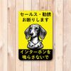 Dachshund Dachshund Decline Sales and Solicitation Sticker Don't Ring Intercom