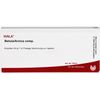 Betula/Arnica comp. Wala Ampullen, 10X1 ml AMP