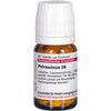 DHU Petroselinum D6 Tabletten, 80 St. Tabletten