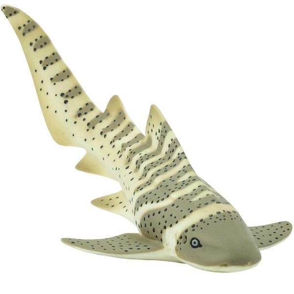 Safari Zebrahai