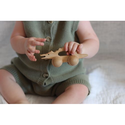 Adventure Awaits! Wooden Animal Rattle Toy Set for Toddlers & Preschoolers | Horse & Crocodile Wheeled Push and Pull Car 2 Pack