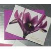 Thank-You Cards with Envelopes, Iris/Peony (50-Count) 
