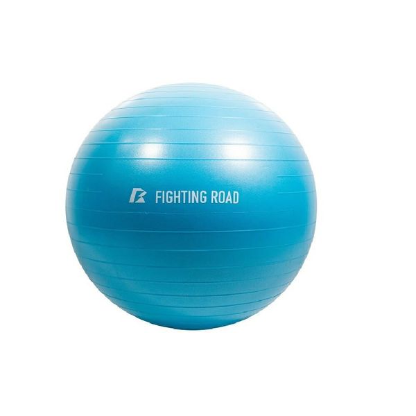 Fighting Road Gym Ball 55cm Gray