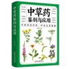 中草药鉴别与应用 中草药彩图大全
