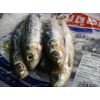 Sardines Frozen 8 Lb.