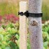 You Garden - Tree Planting Seleciton for 3 trees