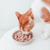 District 70 Bamboo Cat Slow Feeder Diameter 13.5 cm Merengue