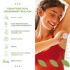 Roll-on Deodorant mit Teebaum 50 ml - reinigend