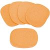 Sponge (Standard) 10 Sheets Sponge Facial Beauty Salon