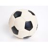 Soccer Ball L PTLA01604