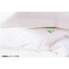 Earl DD-501 Mite-Control Mite-Free Mat
