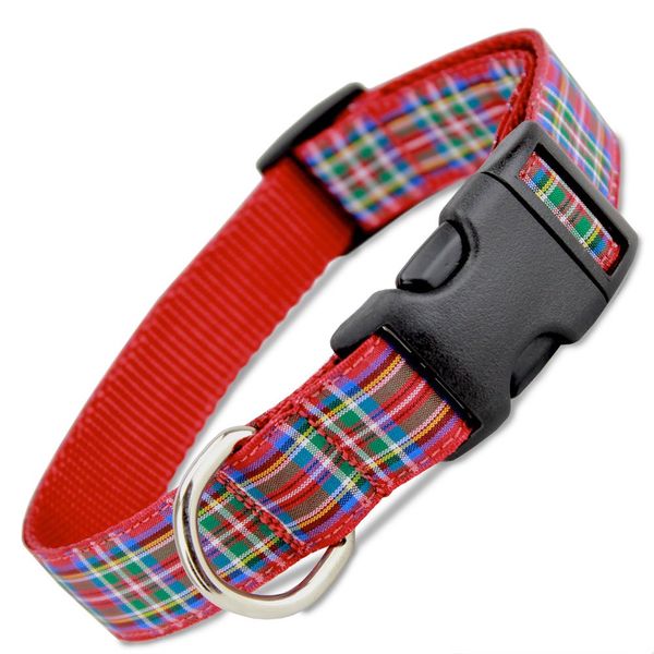 Scottish Plaid Dog Collar, Royal Stewart Tartan, Medium Dogs, 22-35 lbs (Collar: 3/4" Wide, 10-16" Long)