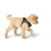 Hunter - Wire Harness Comfort M Anthracite