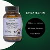 EPICATECHIN | Lean Mass Support | 500mg | 60 Veggie Capsules | Glass Bottles