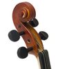Theodore Childrens Violin - Standard Beginners 1/2 Size