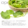 CICA Extract 1.0 fl oz (30 ml) Cosmetics Beauty Solution Tracea Extract Madecassoside Deer Extract