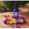 Blue Lotus-Nymphaea Caerulea-Blue Egyptian Tincture-Veget