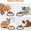 Cat Bowls + Games  Anti-Swallow Brand