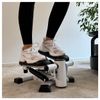 Sport-Tec 2 in 1 Stepper with Training Computer