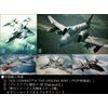 【PS4】ACE COMBAT™ 7: SKIES UNKNOWN