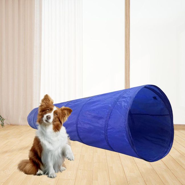 pet agility tunnel dog outdoor games