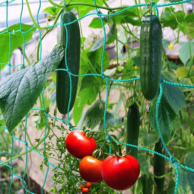 Trellis Netting for Climbing Plants - Heavy Duty Garden Trellis for Cucumber, Vine, Fruits & Vegetables Tomato Trellis Net, Climbing Vining Plants (16.4' x 6.6'Ft)