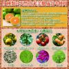 美香柑 みかんの生せっけん 50g [洗顔石けん 美容保湿成分60%配合 朝晩ご使用 約30日分]