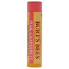 Burt's Bees 100% Natural Moisturizing Lip Balm, Pink Grapefruit with Beeswax & Fruit Extracts - 1 Tube