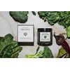 Dr. Devgan Scientific Beauty, Gummy Nutraceuticals: Super Green Complex