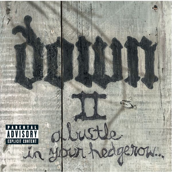 Down II - A Bustle in Your Hedgerow...