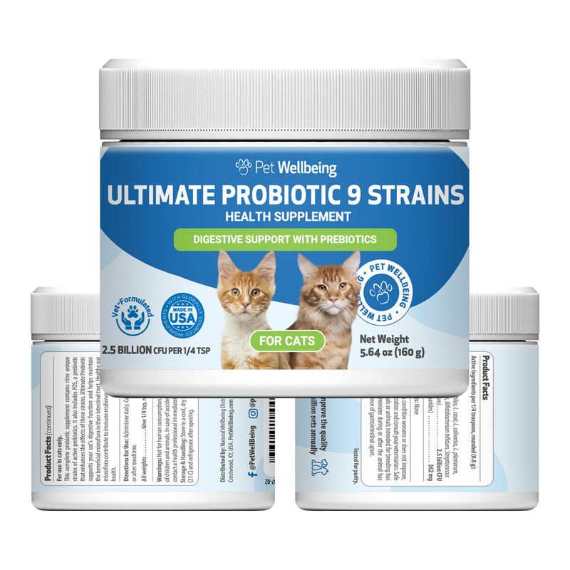 Snapshot of Prebiotics For Urinary Health In Cats
