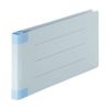 Cownet Flat File Reinforced Back Type Uniform Slips, Blue, 10